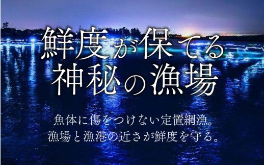 「富山湾ほたるいか」刺身・しゃぶしゃぶ用 ポン酢付 [A-001012] /　ほたるいか いか ホタルイカ イカ 沖漬け 川村水産 ホタルイカ 蛍烏賊 朝どれ 朝獲れ おつまみ 珍味 海鮮 名産 旬 観光 ギフト 送料無料 お取り寄せグルメ 北陸 富山 冷凍 ほたるいか