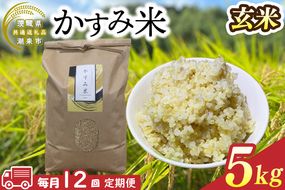 【先行予約】【2026年9月末より順次発送開始】【茨城県共通返礼品/潮来市】【12ヶ月定期便】栽培期間中出来るだけ農薬を減らしたかすみ米 5kg(玄米)　茨城県潮来市産(BI-91)