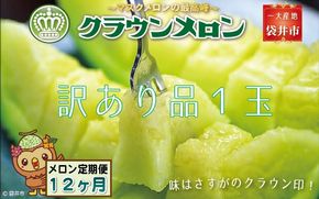 【12ヶ月定期便】クラウンメロン（訳あり）1玉入 メロン デザート グルメ 果物 フルーツ 季節の果物 スイーツ 袋井市 静岡県