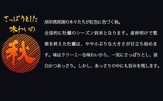 定期便 4回 季節によって味が違う！春夏秋冬「 牡蠣 」 【配送不可：沖縄・離島】 魚貝類 生牡蠣 かき マルえもん