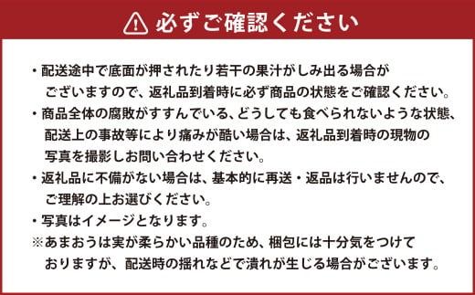 ギフト配送 約450g×2パック 計900g EX 福岡県産 あまおう 特別栽培【2026年1月上旬から3月下旬発送予定】 いちご 苺 イチゴ ベリー 果物 フルーツ お取り寄せ デザート おやつ