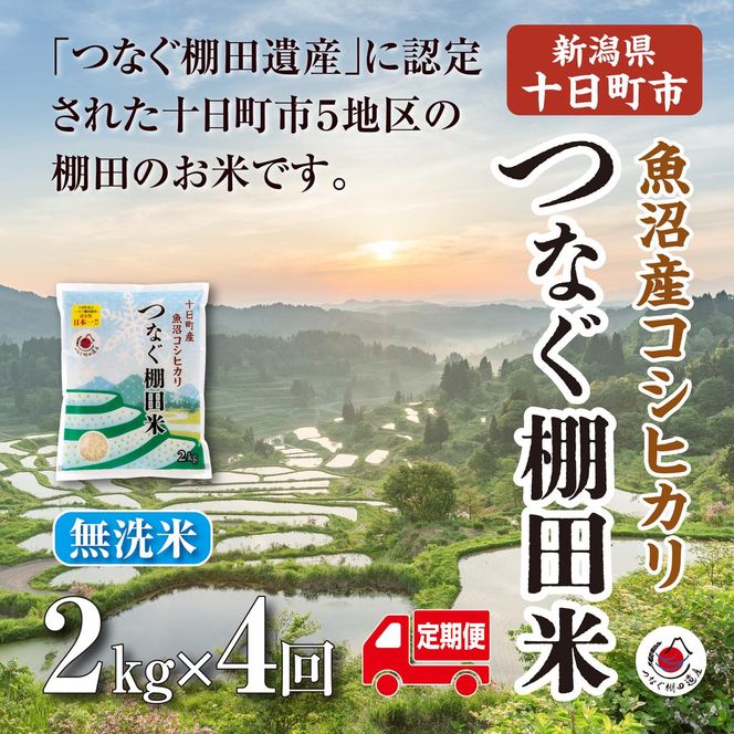 【令和8年産 先行予約】【定期便／全4回】無洗米2kg　新潟県十日町市魚沼産コシヒカリ「つなぐ棚田米」 米 こしひかり 無洗米 定期 十日町市