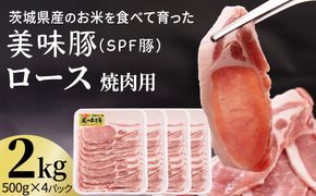 茨城県産のお米を食べて育った 常陽さん家の 美味豚 (SPF豚) ロース 焼肉用 2kg (龍ヶ崎市 共通返礼品） 国産 ロース ロース肉 豚ロース 豚 SPF SPF豚 豚肉 焼肉 バーベキュー しゃぶしゃぶ 肉 にく 肉類 ポーク こだわり やわらか お米育ち 安心 安全 人気 お取り寄せグルメ お取り寄せ グルメ おすすめ [BW002us]