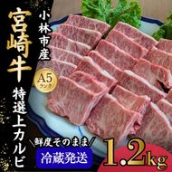 【新鮮チルド発送!!】A5等級宮崎牛特選上カルビ焼肉 1.2kg（黒毛和牛 牛肉 宮崎牛 赤身 カルビ 焼肉用 宮崎県）