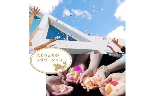 〈日付指定も可能〉 観賞はもちろん！バラ風呂やフラワーシャワーに！ ローズインにゅーよーくミックス５０輪 バラ５０輪詰め合わせ 風呂 薔薇 ローズ ギフト プレゼント ラッピング インテリア お花 フラワー H193-022