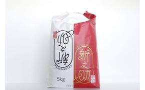 新潟米新之助（精米）5kg お米 おこめ こめ 白米 こしひかり 