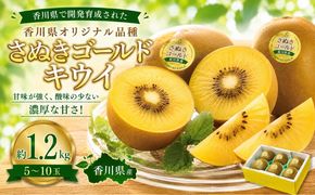 さぬきゴールドキウイ  約1.2kg キフイ フルーツ 果物 香川県 土庄町