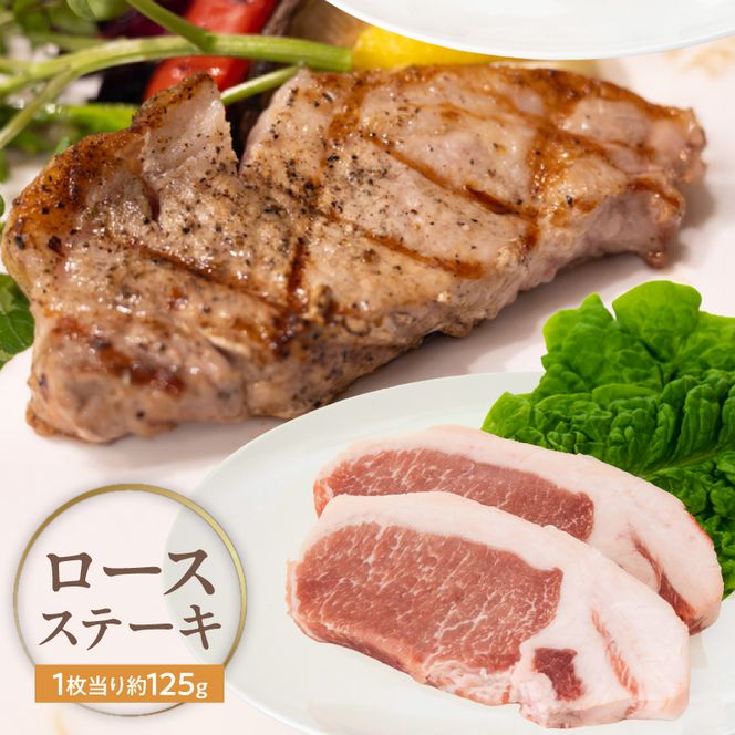 宮崎県産熟成豚 よくばり3種セットB（ステーキ2種/切り落とし） N0105-YA2285-sku