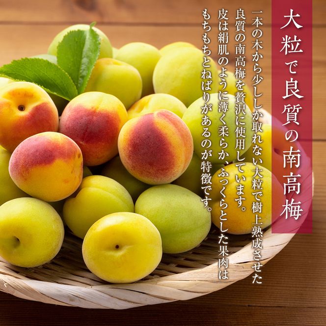 紀州南高梅 徳用 はちみつ梅 1.5kg×1箱 ［Kn7］ 303446_CQ007