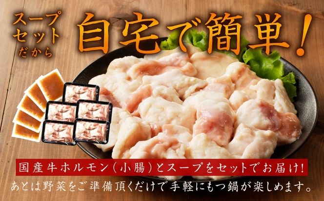 015B570 牛もつ鍋セット 15人前【国産 牛肉 ホルモン 塩こうじ スープ付き モツ 鍋 高評価 冷凍 鍋セット 簡単調理】