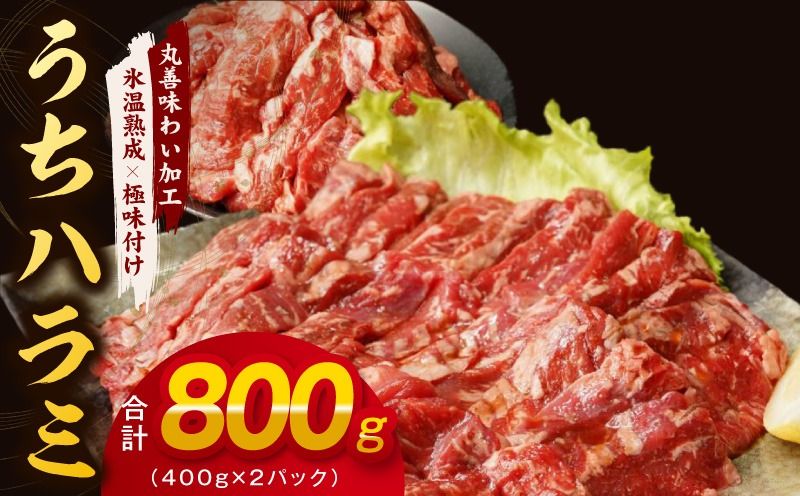 mrz0398 [氷温熟成×特製ダレ]希少部位 牛肉 うちハラミ 800g(400g×2)