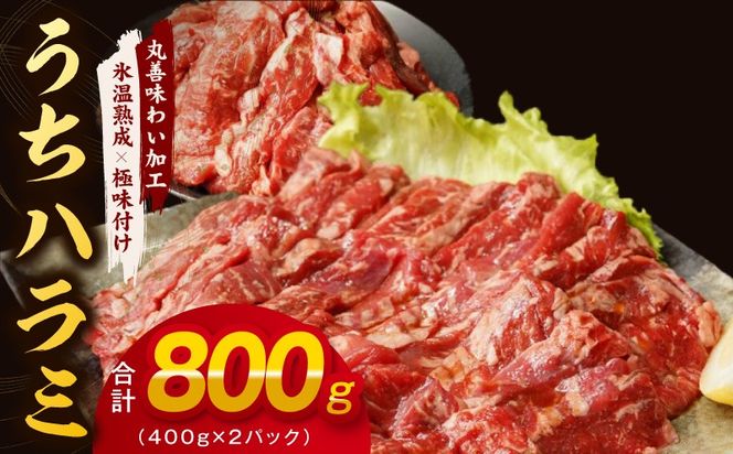 mrz0398 【氷温熟成×特製ダレ】希少部位 牛肉 うちハラミ 800g（400g×2）