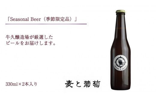 【 お歳暮 熨斗付 】 5年連続！《 ジャパン・グレートビア・アワーズ 受賞 》クラフトビール3種 計 6本セット 飲み比べ 茨城県産 牛久醸造場 330ml × 6本 ビール 地ビール クラフト お酒 贈り物 御歳暮 冬ギフト [BJ049us] 