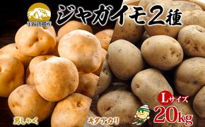北海道産じゃがいも 男爵 キタアカリ各約10kg Lサイズ ジャガイモ 男爵いも 北あかり 馬鈴薯 ポテト 根菜 常備野菜 産直 国産 JAようてい 送料無料 北海道北海道のジャガイモ 食品 