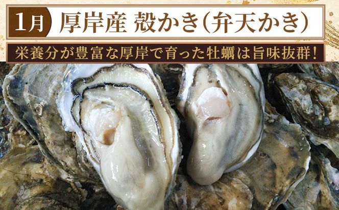 厚岸旬のふるさとセット 年6回お届け (牡蠣、毛蟹、生時しらず、しまえび、あさり、さんま、ほっき 等)
