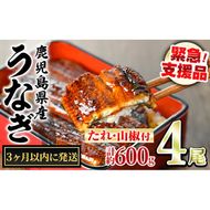 【0224337a】＜3ヶ月以内に発送予定＞東串良町のうなぎ蒲焼(無頭)(4尾・計約600g・タレ、山椒付) うなぎ 高級 ウナギ 鰻 国産 蒲焼 蒲焼き たれ 鹿児島 ふるさと 人気 【アクアおおすみ】