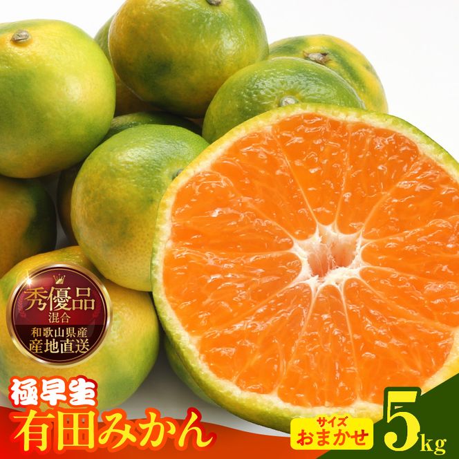 【2026年先行予約】みかん 極早生 箱込 5kg ( 内容量4.4kg ) おまかせサイズ（S/M/L）秀品・優品 の混合 有田みかん 和歌山県産_MK1072
