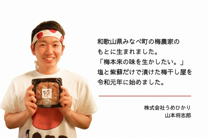 EP6021_【常温保管可能】天日塩と紫蘇だけで漬けた 無添加梅干し3kg 梅ボーイズ|南高梅 C203