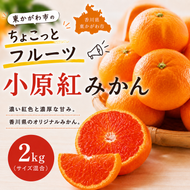 東かがわ市のちょこっとフルーツ「小原紅みかん 2kg」