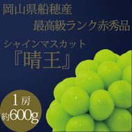 ぶどう 2026年 先行予約 9月・10月発送 高級品 シャインマスカット 晴王 1房 約600g ブドウ 葡萄 岡山県産 船穂産 フルーツ 果物 ギフト