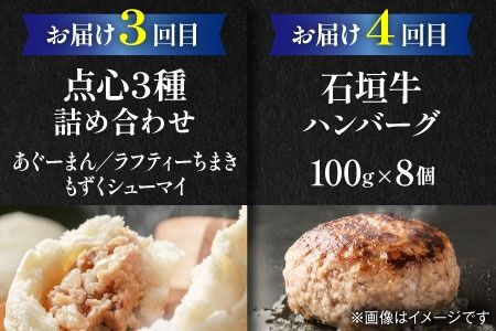 【全6回定期便】家族で満喫！沖縄のお肉贅沢セット【沖縄市】ハンバーグ あぐー 石垣牛 ステーキ 焼肉 冷凍 ギフト お取り寄せ 沖縄市 / お肉屋本店 / 豚々茶舗 / TESIO / 肉のサブロー[BCZZ034]