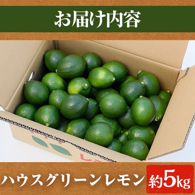 ＜先行予約受付中！2026年8月中旬以降順次発送予定＞数量限定！ハウスマイヤーグリーンレモン(5kg) 国産 檸檬 果実 果物 フルーツ 柑橘 デザート お菓子作り 期間限定 数量限定【桐野柑橘株式会社】akn070-18