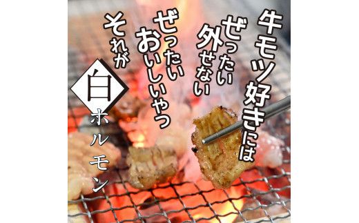 【CF-R7hbk】TKA005　白ホルモン 天下味オリジナル本格塩ダレ漬け（150g×６パック） 高知市共通返礼品 人気 牛肉 お肉 小腸 焼き肉 タレ 焼肉 BBQ バーベキュー 冷凍 小分け おつまみ どんぶり お手軽 食べて応援