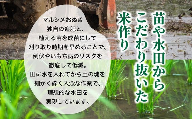 ◆R7年産◆ JGAP認証【おぬきさん家のゆめぴりか】5kg ≪北海道伊達産≫ maru-002