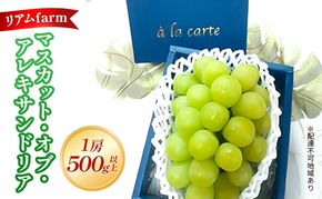【 2026年 先行予約】 ぶどう 岡山県産 マスカット・オブ・アレキサンドリア 1房（500g以上） 《2026年7月上旬-下旬頃出荷》 葡萄 ブドウ フルーツ 果物 スイーツ 数量限定 期間限定 里庄町 リアム farm
