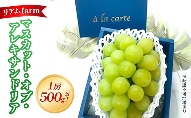 【 2026年 先行予約】 ぶどう 岡山県産 マスカット・オブ・アレキサンドリア 1房（500g以上） 《2026年7月上旬-下旬頃出荷》 葡萄 ブドウ フルーツ 果物 スイーツ 数量限定 期間限定 里庄町 リアム farm