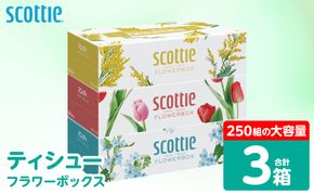 【スコッティ】 ティシュー フラワーボックス 250組 3箱 ティッシュ 日用品 生活必需品 防災備蓄 ストック 備蓄 新生活 防災 消耗品 生活用品 日用消耗品 箱ティッシュ