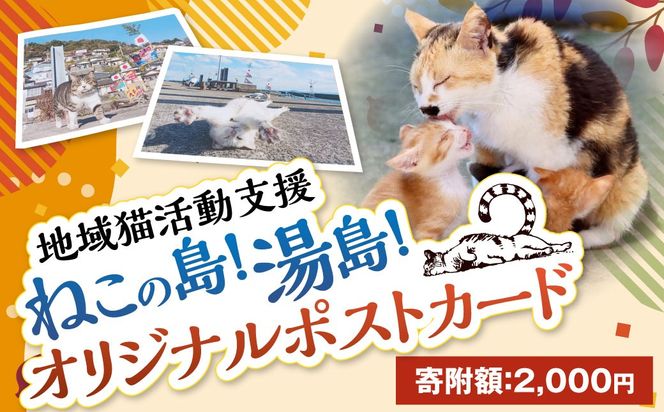 ねこの島！湯島！オリジナルポストカード【地域猫活動支援】 猫 ねこ ネコ オリジナルグッズ ポストカード 2種 セット 猫島 猫の島 湯島 熊本県 上天草市