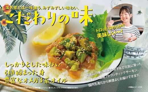 日本初 完全陸上養殖 静岡県小山町産 アトランティックサーモン 冷凍 ポキ丼 （ 約160g × 4パック ）コク旨ごまだれ