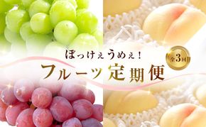 【 2026年 先行予約 】ぶどう 桃 ぼっけぇうめぇ フルーツ 定期便 3回 コース -2 ( 白桃 ・ シャインマスカット ・ 紫苑 )《2026年8月-10月出荷》 岡山県産 フルーツ 果物 数量限定 里庄町 