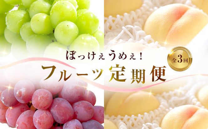 【 2026年 先行予約 】ぶどう 桃 ぼっけぇうめぇ フルーツ 定期便 3回 コース -2 ( 白桃 ・ シャインマスカット ・ 紫苑 )《2026年8月-10月出荷》 岡山県産 フルーツ 果物 数量限定 里庄町 