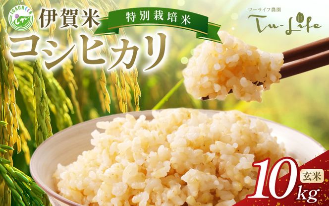 特別栽培米・伊賀米コシヒカリ 10kg〈玄米〉【tuli0006A】