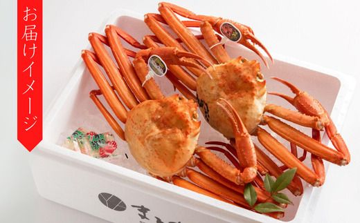 【香住ガニ 大 タグ付き ボイル 茹で 姿 約700g×2杯 冷蔵】カニの本場 香住産  最上質な香住ガニを見定め競り落とします 立派なカニを自信を持って提供いたします 大人気 カニの旨味と甘味が抜群 鮮度抜群 香住漁港 国産 かに カニ ベニズワイガニ 兵庫県 香美町 マルヤ水産 11-04