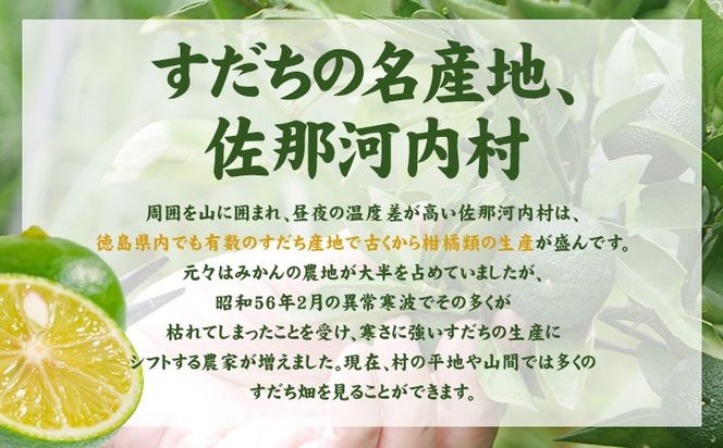 すだちワインスプリッツァー：1ケース(250ml×12本入) 《90日以内に出荷予定(土日祝除く)》 ---sanagouchi_izs_13_12hn---