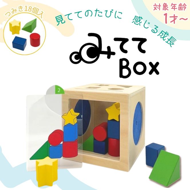 知育玩具 みててBOX ［150A07］ 積み木 円柱 四角 三角 星 シート お手本シート 背景シート ボックス 木 ブラインドボックス 触覚 形当てる チャレンジカード 積み上げ 創造力 学び わくわく 愛知県 小牧市 送料無料