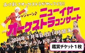 碧南市芸術文化ホール「１/4 ニューイヤー・オーケストラコンサート」チケット 音楽 クラシック 楽器 演奏 ソプラノ 歌手 新年 初笑い ホール コンサート チケット 券 H202-001