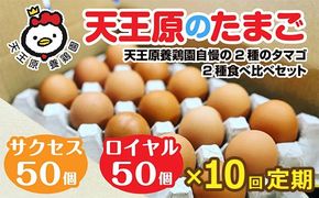 【定期便】10回定期 【天王原のたまご】 サクセス卵50個/ロイヤル卵50個【定期便 10回定期便 セット たまご 卵 玉子 タマゴ 濃厚 ハリ 弾力 ボリューム 甘味 旨味 卵黄 風味 生 コク 甘味 卵かけご飯 卵焼き 目玉焼き オムレツ 茶碗蒸し お菓子作り パンの材料】