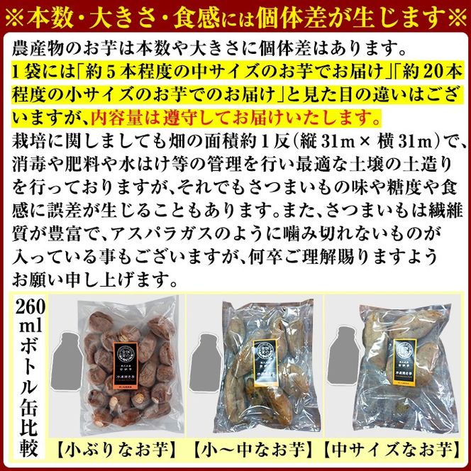 a0001 選べる冷凍焼き芋！畑の金貨・やきいも2kg～3kg(3種セット・紅はるか・安納芋・シルクスイート・紅はるか＆シルクスイート2種セット)【甘いも販売所】姶良市 焼き芋 指定 冷凍 焼芋 やきいも さつまいも さつま芋