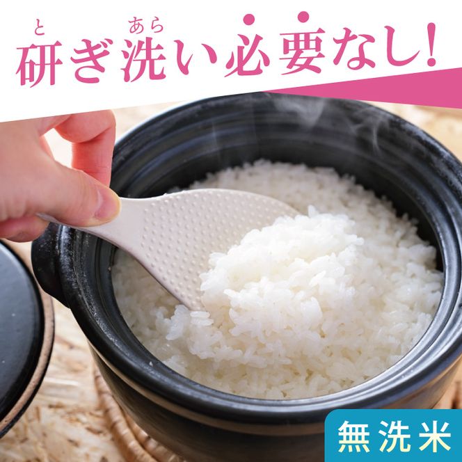 R8年産取手市産あきたこまち 無洗米10kg（5kg×2袋）|お米 米 白米 茨城県 取手市（BS014-R8）