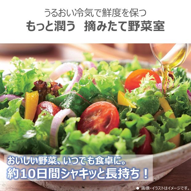 東芝 冷蔵庫 【標準設置費込み】 465L 5ドア 右開き 冷凍冷蔵庫 GR-Y470GSK(EW) 141305_KV201