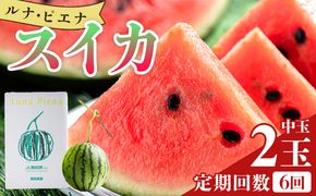 スイカ 定期便 2玉 【6回定期便】 ルナ・ピエナスイカ(中玉) Wyu-0068