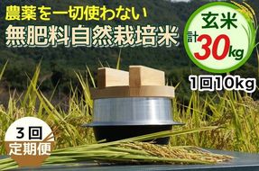 【3回定期便】自然栽培米 にこまる ＜農薬を一切使わない無肥料栽培＞ 玄米 10kg × 3ヶ月 計30kg《令和6年産 新米 京都丹波産 無農薬米栽培向き 厳選品種》