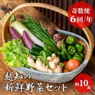 越知産市の季節の野菜セット(年6回発送) 奇数月
