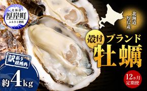 12ヵ月定期便 訳あり 牡蠣 北海道厚岸産 殻付カキ 約4kg (25から50個) カキナイフ付 生食 生牡蠣 貝付き牡蠣 貝 海鮮 魚介類 殻付き牡蠣 マルえもん