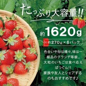 【先行予約】【全2回定期便】【 数量限定 】 あまおう いちご 1,620g ( 約 270g × 6パック )【2026年3月初旬より順次発送】 糸島市 / 株式会社HSP-テクノ グランデ 等級 福岡県産 [AZL006] ブランド いちご あまおう 数量限定 先行予約 果物 フルーツ 苺 イチゴ