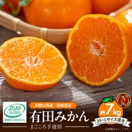 【2026年先行予約】【秀品】和歌山県産 有田みかん 約7kg (2S～Lサイズ混合)【まごころ手選別】_ZE6518